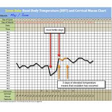 65 Prototypal Ovulation Record Chart