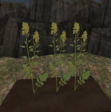 But he chose a mustard seed. Second Life Marketplace Unity Empire Mustard Seed Plant