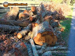 The guide is more focused on time/wood efficiency rather than on getting the most logs. 10 Places Find Free Wood For Bowl Turners Turn A Wood Bowl