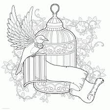 You can use our amazing online tool to color and edit the following bird of paradise coloring pages. Free Adult Coloring Sheets A Bird Coloring Pages Printable Com