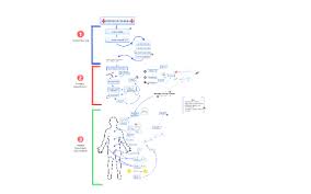 Patient Assessment Trauma Flowchart By Bradley Whitaker On Prezi