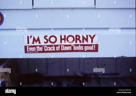 Bumper sticker, sex, humor, dawn Stock Photo - Alamy