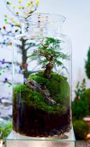 Aquarium Fish Outside Pond 6 Indoor Water Garden Garden Terrarium Terrarium Plants