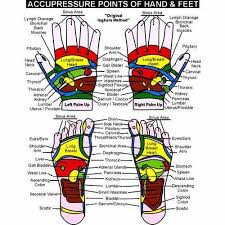 Therapy Charts Accupressure Charts Exporter From Mumbai