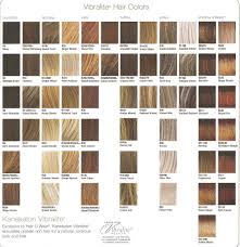 Raquel Welch Wigs Color Chart Sbiroregon Org