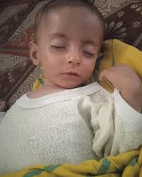 Beautiful Sandy is 7 months old yet weighs only 4.7kg due to being severely  malnourished 💔 Her family live in G@za where the situation is  catastrophic. Please contribute to the 🔗 in