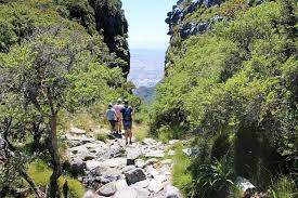 Remember, that without us trail builders, there would be precious few hiking destinations. Amazing Hiking Trails Up Table Mountain With Stunning Views Stingy Nomads