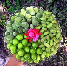 Mpower Persian Food Iranian Cuisine Tasty Baking
