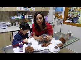 Kedime Nasil Surup Icirebilirim Vet Hek Gizem Taktak Kuzey Alemdar Youtube