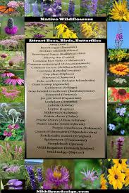Successive blooms keep your interest. 10 Wildflowers That Attract Birds To Your Yard Nikki Lynn Design