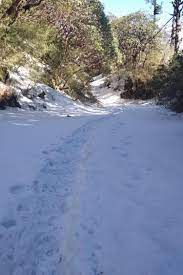 Pin By Nepal Tour Agency On Best Nepal Tour Everest Base Camp Trek Nepal Kathmandu
