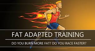 How And Why To Get Fat Adapted (Keto Diet Not Required) - Levels