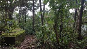 This unique national park is nearly as much water as it is land. National Park Of American Samoa Wikiwand