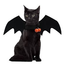 Halloween Pet Hat Bat Wings Cat Bat Wings Hat Cape Harness With Pumpkin Bells Cosplay Small Dog Puppy Hat For Halloween Pet Hat Aliexpress