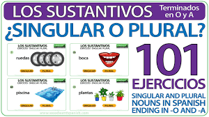 Spanish Nouns Ending In O And A Singular Or Plural Woodward Spanish