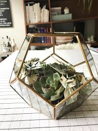 Wie verpackst du ein originelles geldgeschenk? Geldgeschenke Basteln Diy Terrarien Hochzeit