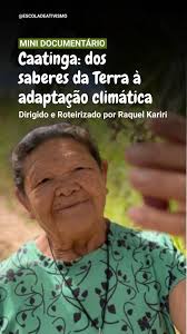 ☀️ “Quente, seca e sem vida.” É assim que historicamente a Caatinga e o  semiárido brasileiro vem sendo retratados, mas, e se tudo que você ouviu e  viu não corresponde à realidade? 🤔, O minidoc ...
