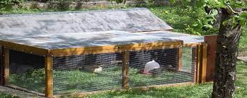 Ist dieser hühnerstall mit ein wenig handwerklichem geschick und wenn man der englischen sprache mächtig ist. Einen Guten Huhnerstall Kaufen Tipps Aus 20 Jahren Huhnerhaltung