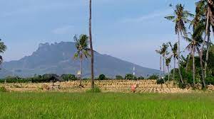 Kok gk nemmu caption yang cocok yah. Gunung Putri Tidur Situbondo Youtube