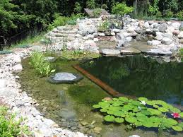 An Informative Article On Natural Pools The Periapex Piscinas Naturales Piscina Natural Pequenas Piscinas