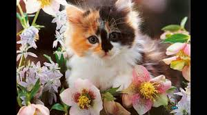 песня как хорошо что бог нам дал друзей скачать бесплатно Dobraya Pesnya Dlya Druzej Youtube