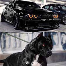 Click On The Picture For More Black Bmw M5 E39 By Bmwmlovers Official Beamer Bimmer Bmw Bmwm5 M5 Bmwm3 M3 M4 M6 M2 Bmwm Bmw Bmw M5 Bmw E39