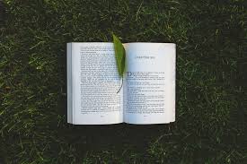 3 Contoh Biografi Penulis Buku Artikel Novel Dan Cerpen