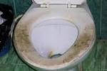 How To Get Rid Of Pubic Lice