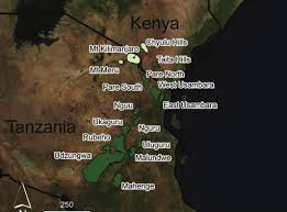 Image result for Pseudobromus engleri