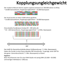 It is a form of genotyping. Infothek Genetikum Der Hund Als Modell Fur Den Humangenetiker