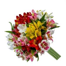 Além disso, a composição fica barata com flores mais nobres. Buque De Astromelias Coloridas