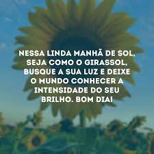 40 Frases De Bom Dia Com Sol Que Vao Aquecer Seu Coracao