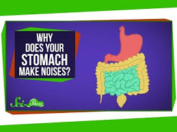 We Re Not Always Sure What Our Tummies Are Trying To Tell Us Thankfully This New Video From Scishow Is Here To Clear Up Stomach Growling Stomach Fun Science