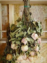 Larger flowers like roses and dahlias will press, but they will become misshapen. Learn The Best Way To Dry Flowers To Maintain Their Color Dried Flowers Diy Dried Flowers Dried Flowers Crafts