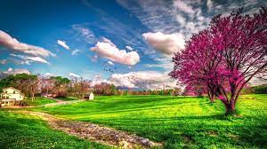 Landscape Beautiful Spring Nature Spring Wallpapers Seasons Wallpapers Download Beautiful Hd Wall Spring Wallpaper Hd Landscape Wallpaper Spring Wallpaper