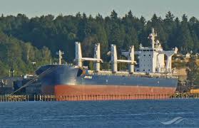 We did not find results for: Jps Elli Bulk Carrier Details And Current Position Imo 9763992 Mmsi 357329000 Vesselfinder