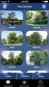 Tree Id British Tree Identification Guide By Mullen Amp Pohland Gbr Tree Id Tree Identification Outdoor Learning