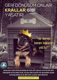 Sosyal Sorumluluk Afisleri Ile Ilgili Gorsel Sonucu Atlar Hayat Kutular