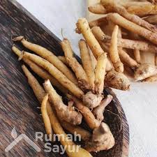 Check spelling or type a new query. Rumah Sayur Jakarta Utara Temu Kunci Rempah Premium 250g Terbaru Agustus 2021 Harga Murah Kualitas Terjamin Blibli