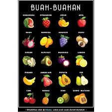 1.13 gambar buah buahan (manggis). Poster High Contrast Buah Buahan Shopee Indonesia