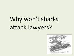 This lawyer worked hard with no time off for many years. Lawyer Jokes