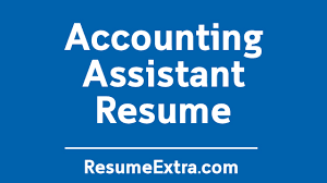 interesting accounting assistant resume