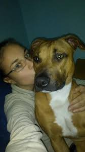 Secondo alcuni aveva accettato per trovare un po' di pace dal suo lungo vagabondare di casa in casa. Jessica Valentina Faoro Amava Gli Animali E La Musica Per Sempre Agoravox Italia
