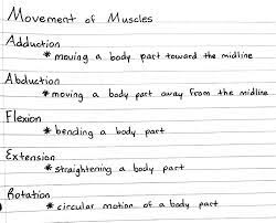 Movement Of Muscles Medical School Motivation Nursing School Notes Medical Student Study