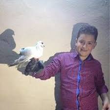 Stream Yousef Arman music