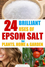24 Brilliant Epsom Salt Uses For Plants Home And Garden Epsom Salt For Plants Epsom Salt Uses Epsom Salt