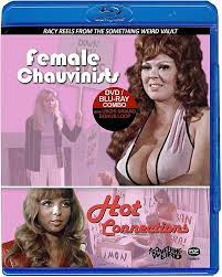 Female Chauvinists/Hot Connections [Blu-ray + DVD]: Amazon.co.uk: Uschi  Digard, Candy Samples, Roxanne Brewer, Rene Bond, Lynn Harris: DVD & Blu-ray