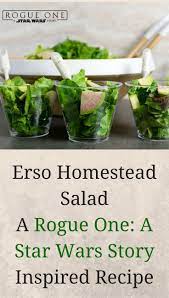 Erso Homestead Salad A Rogue One A Star Wars Story Inspired Recipe Geeks Who Eat Recipe Star Wars Food Light Recipes Recipes