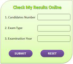 How To Check My Results Online? [Help With Videos]