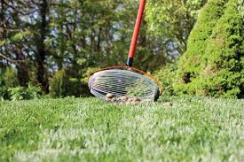 Maybe you would like to learn more about one of these? Garden Weasel Groundbreakingtips Com